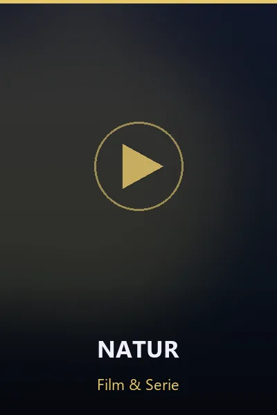 VOD Film TV-Abonnement.ch